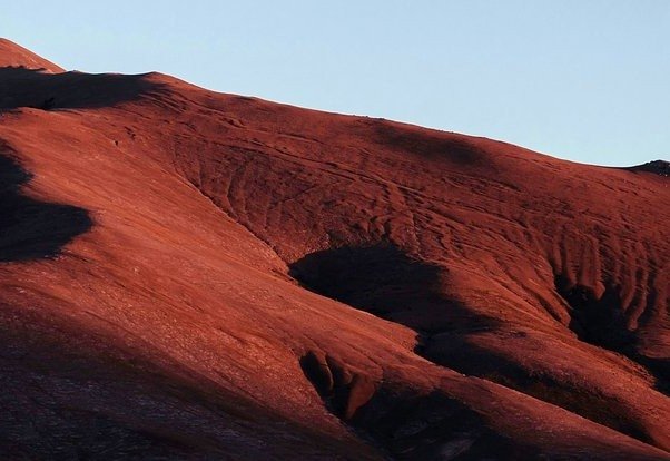 Qaysi bakteriyalar Mars sharoitida yashab ketishi ma’lum bo‘ldi