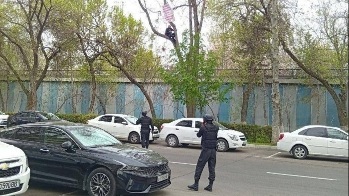 Oliy sud: “daraxtga chiqish” muammoni hal qilmaydi