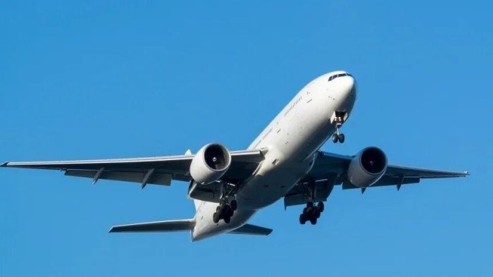Urushlar sababli aviaparvozlar uchun xavf oshmoqda — Deutsche Welle 