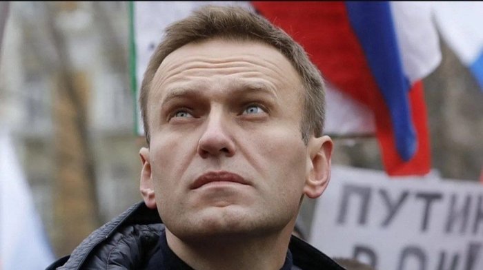 Навалний қурбақа заҳри билан заҳарланган!