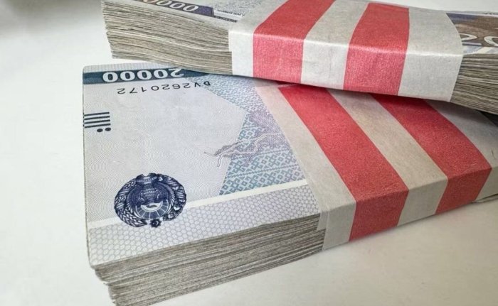 Аҳолига субсидия ўрнига фоизсиз қарз берилади