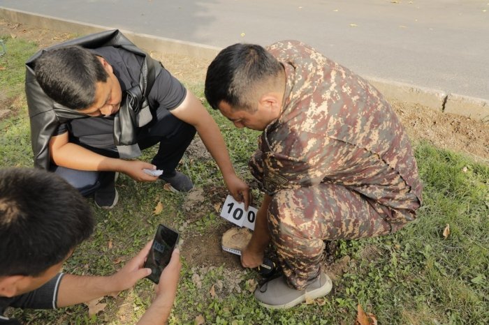 Тошкент шаҳар ҳокимлиги дарахтлар кесилиши бўйича муносабат берди, аммо... (ФОТОЛАВҲА)