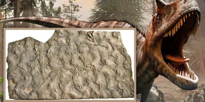 Хитойда 200 миллион йиллик динозавр излари топилди (фото)