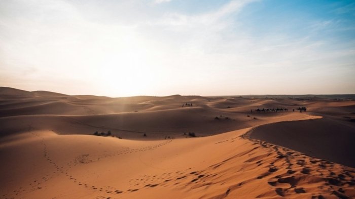 Olim Yer aholisini «jahannam iqlimi»dan ogohlantirdi