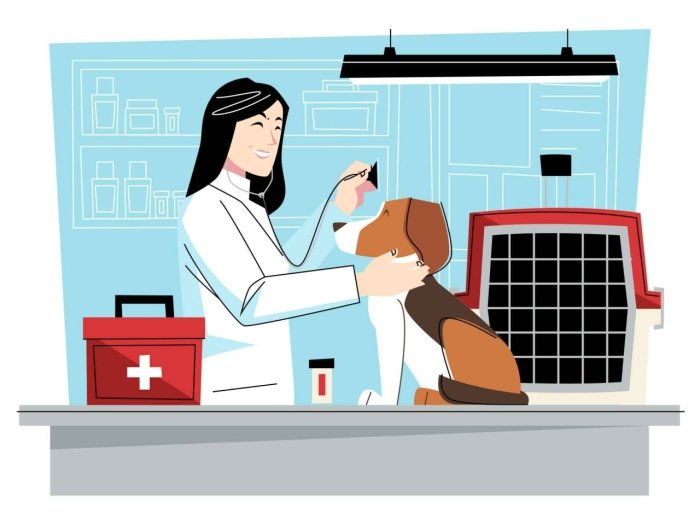 Ўзбекистонликлар 10 ойда ветеринария хизматлари учун 290 млрд сўмдан зиёд маблағ сарфлаган