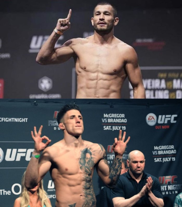 Mahmud Muradov sobiq UFC jangchisiga qarshi oktagonga chiqadi