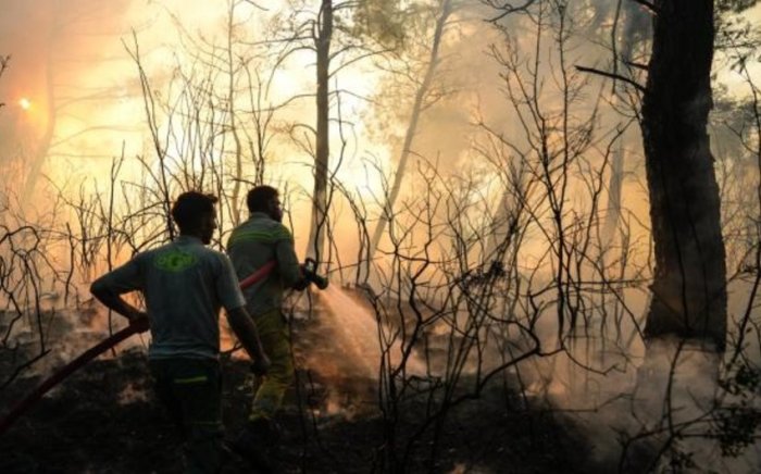 Turkiyada 65 ta o‘rmon yong‘inlari tufayli 44 kishi qo‘lga olindi