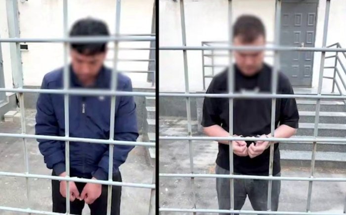 Bo‘stonliqda mushuk bolalariga nisbatan shafqatsiz munosabatda bo‘lgan shaxslarga hukm chiqarildi