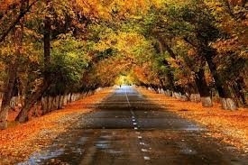 Noyabrda bizni qanday ob-havo kutmoqda? Noyabrda bizni qanday ob-havo kutmoqda?