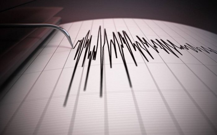 Хитойда 5,6 магнитудали зилзила юз берди