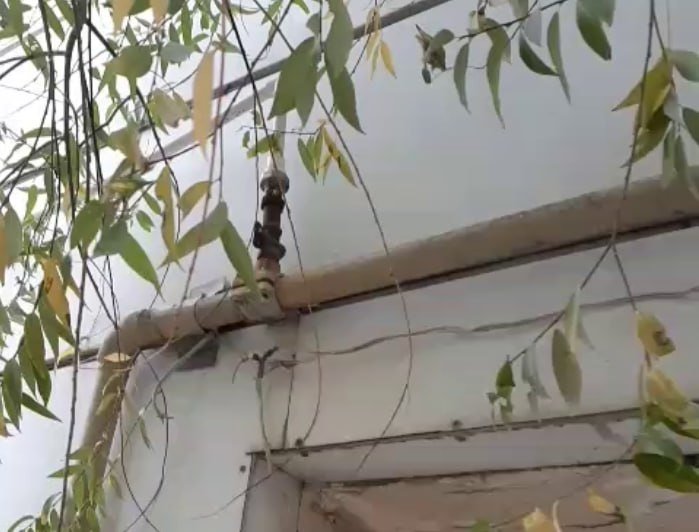 Farg‘ona shahrida tabiiy gazdan noqonuniy foydalangan parrandochilik fermeri aniqlandi