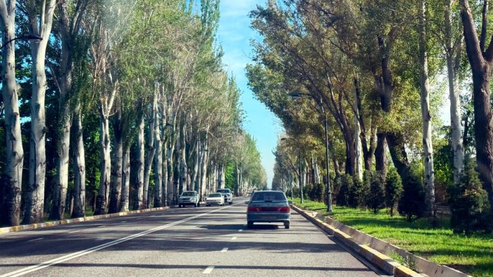 O‘zbekistonda haftaning birinchi yarmi issiq bo‘ladi