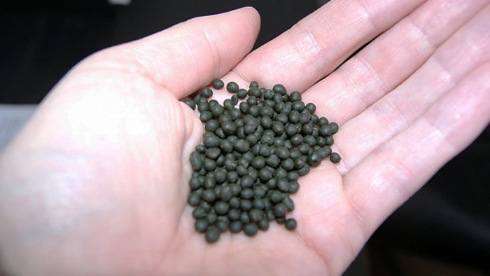 Nosvoy biz bilgan, ammo tan olmagan ofat