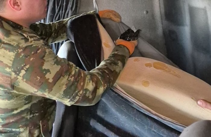 Сурхондарёда атир сепилган гиёҳвандлик воситасининг “ҳиди” чиқди