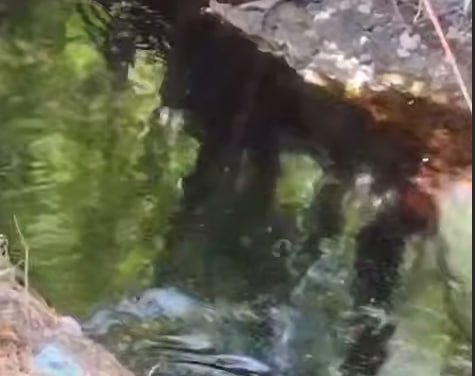 Andijonda kanalga neft oqib ketdi