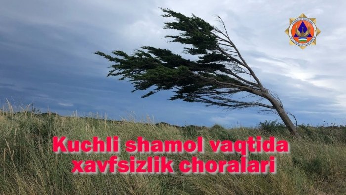 Kuchli shamolda hayotingizni saqlab qoling — bu xavfsizlik qoidalarini o‘qing!