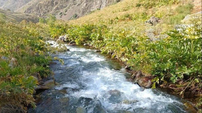 Dam olish kunlari havo asosan kam bulutli bo‘ladi