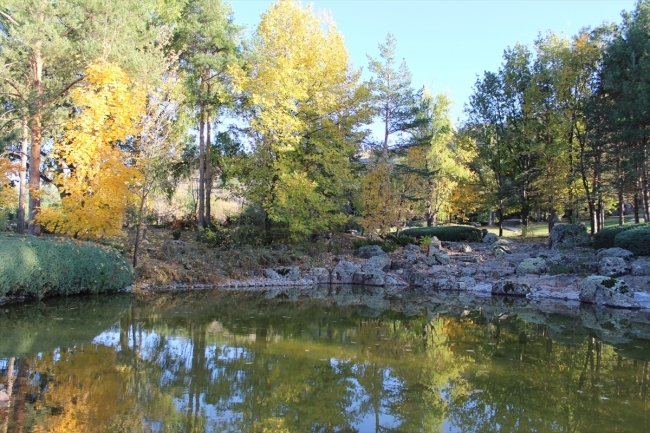 Kirshehirdagi “Yapon bog‘i” – bir faslda to‘rtta rang mujassam  (FOTOGALEREYa)