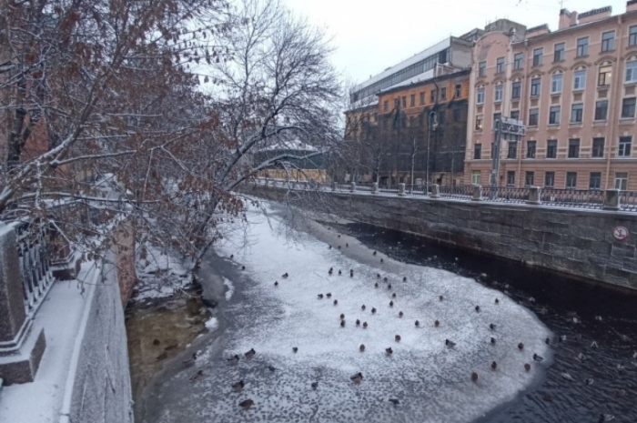 Европада энг илиқ январь ойи кузатилди