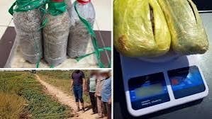 Uch hududda ushlangan narkosavdogarlardan jami 12,7 kg giyohvandlik vositalari olib qo‘yildi