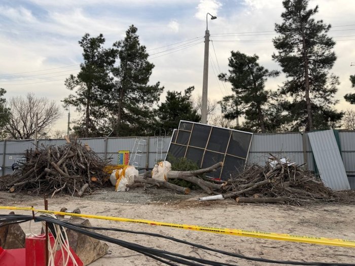 Toshkent markazida yana daraxtlar yo‘q qilinmoqda