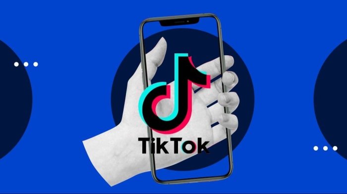 Канада разведкаси TikTok иловасидан фойдаланишда огоҳлантирмоқда