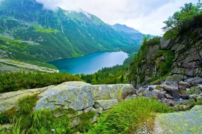 Ekologik huquq va ta’lim-tarbiya uzviyligi