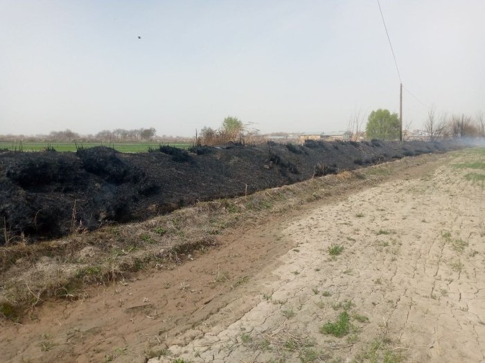 Atmosfera havosini muhofaza qilish talablariga rioya qilmagan 25 nafar fuqaro jarimaga tortildi