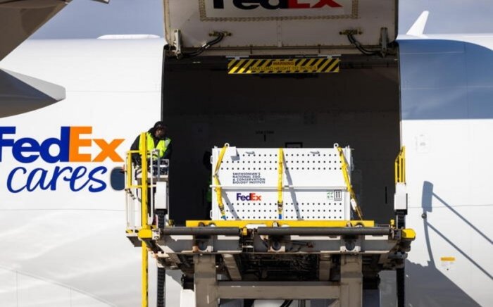 Италия FedEx филиалидан 46 миллион евро мусодара қилди