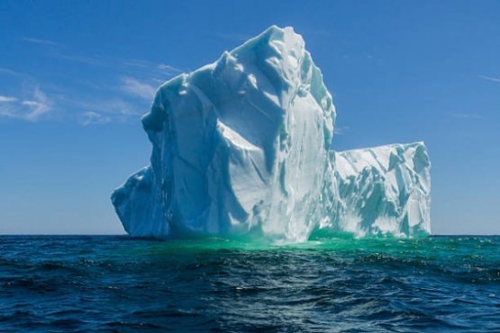 Кун фотоси! Ньюфаундленддаги ажойиб айсберг
