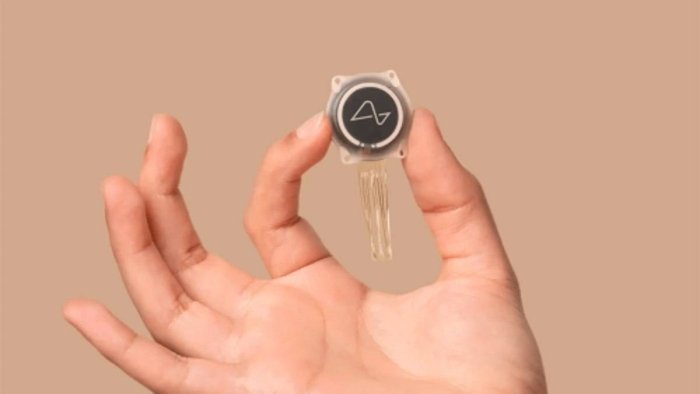 Neuralink nerv implantlarini ishlab chiqish uchun 650 million dollar yig‘adi