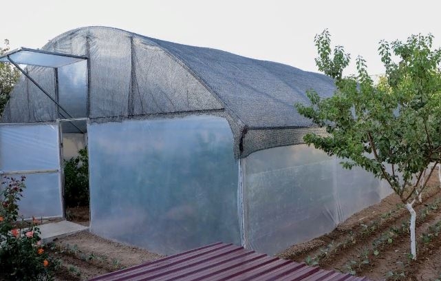 Ayrim fuqarolarga issiqxona qurish uchun naqd pulda kredit beriladi