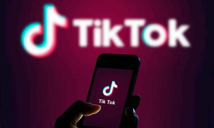 Европа комиссияси TikTok орқали сайлов манипуляцияси ҳолатларини текширмоқда  