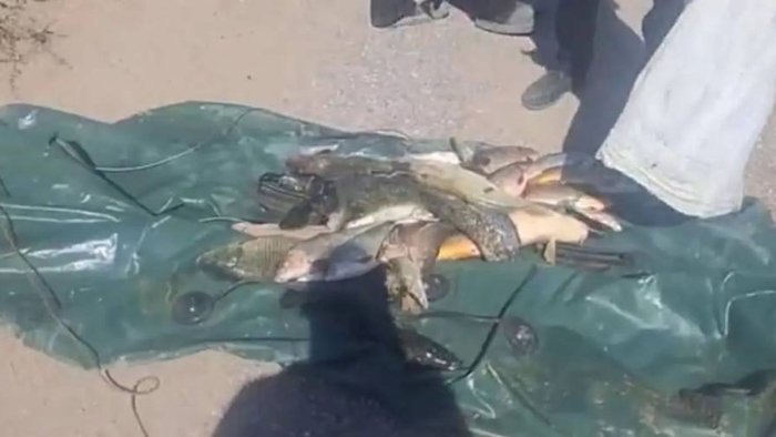 Navoiyda noqonuniy baliq ovlaganlar qariyb 700 mln jarima to‘ladi