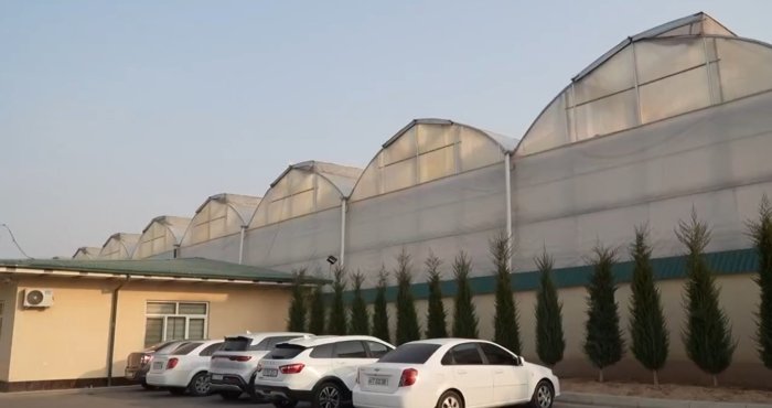 Тошкентда иссиқхоналарга чеклов жорий этилади