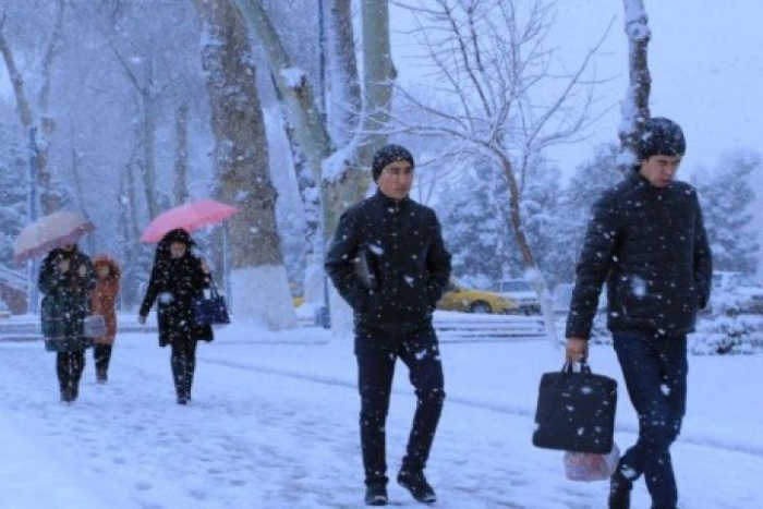 Talabalar uchun qishki ta’til muddati belgilandi