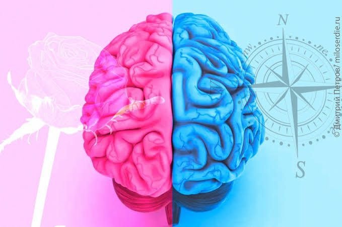 Erkaklar miyasi ayollarnikiga qaraganda tezroq qariydi