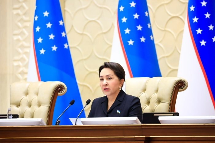 Senat 2026 yilgi davlat byudjetini ma’qulladi