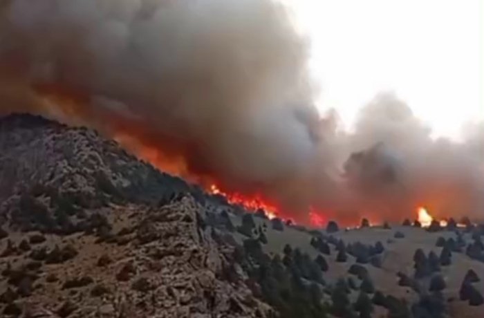 Шеробод туманида 5 гектар майдонда ёнғин содир бўлди