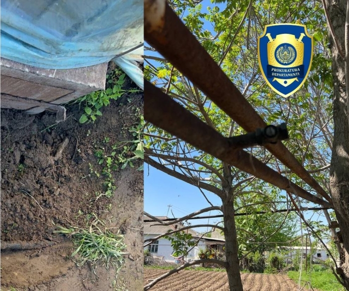 Табиий ресурслардан ноқонуний фойдаланиш ҳолатлари аниқланди