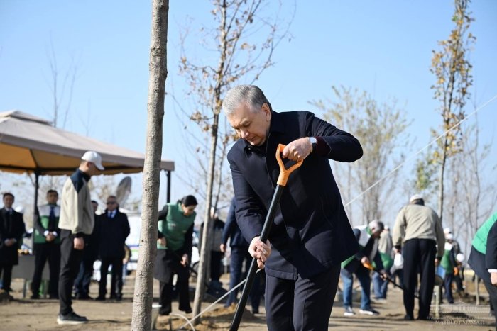 Shavkat Mirziyoyev “Yashil makon” umummilliy loyihasi doirasida barpo etilayotgan yangi boqqa ko‘chat ekdi