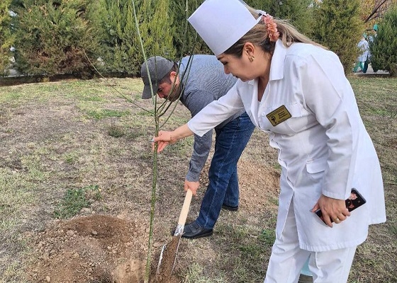 “Yashil makon” umummilliy loyihasining navbatdagi manzili tibbiyot muasssasalari bo‘ldi