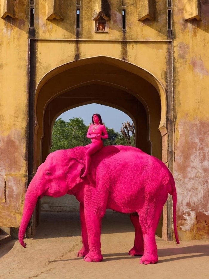 Ҳиндистонда 70 ёшли фил “пушти фотосессия”дан кейин вафот этди