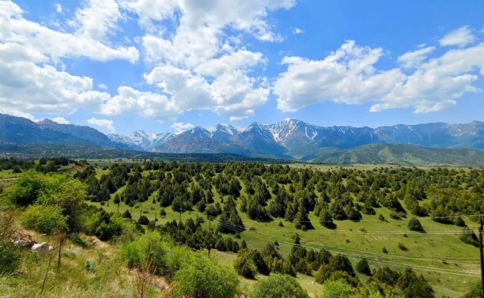 Dam olish kunlari havo biroz bulutli bo‘lishi kutilmoqda