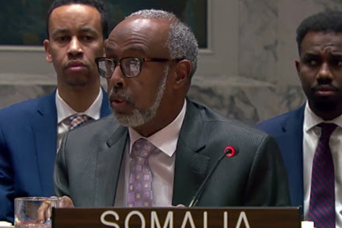 Маск Сомалининг БМТдаги элчисини ҳибсга олишга чақирди