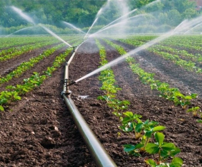 Suv tejovchi texnologiyalarni joriy qilish tizimini takomillashtiriladi