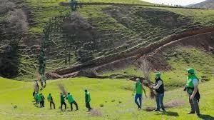 Ўзбекистонда «экофаол фуқаро» мақомини бериш тартиби тасдиқланди