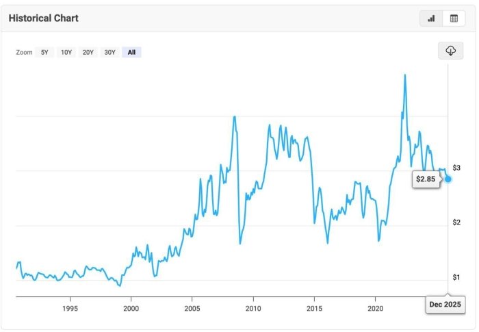 Россияда бензин нархи АҚШдан ҳам қиммат бўлди