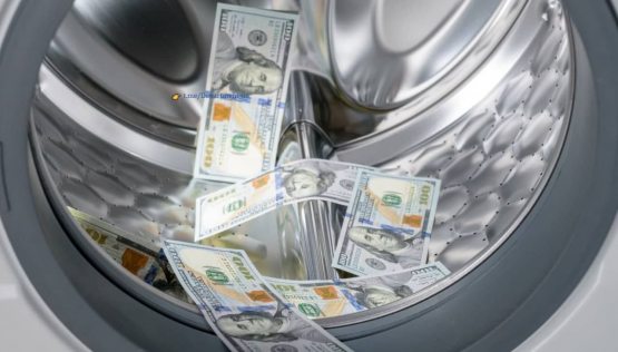 Навоий вилоятида ўзининг номидаги 5 та МЧЖ орқали кредит маблағларини талон-торож қилган шахс аниқланди
