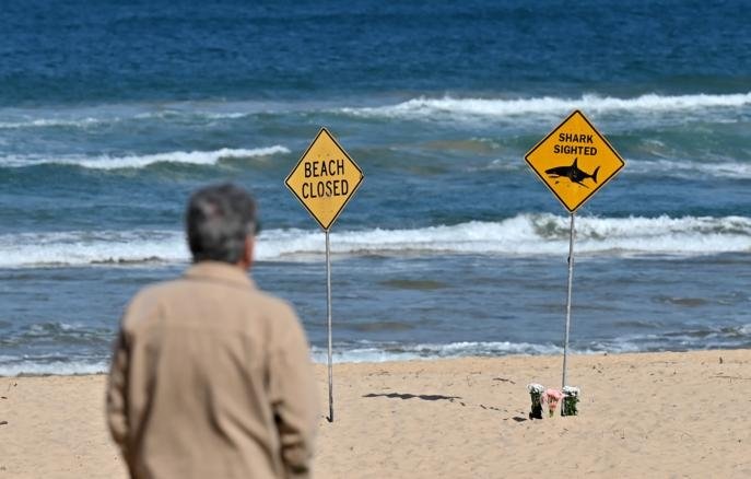 Сидней шимолидаги барча пляжлар акула ҳужумларидан кейин ёпилди
